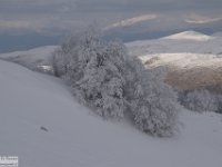 2018-01-13 M. Orsello 194